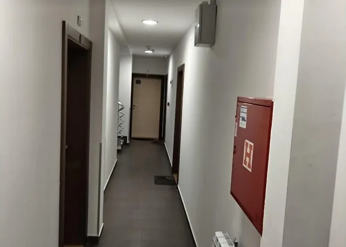 Iva Brzece-kopaonik * Brzece