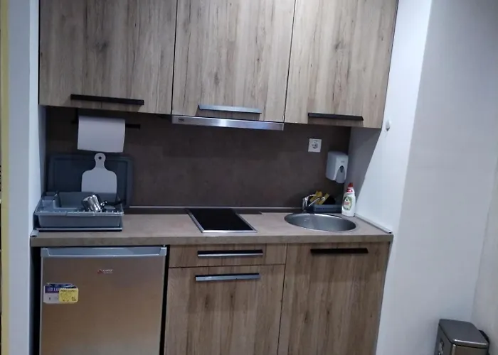 Iva Brzece-kopaonik Brzece